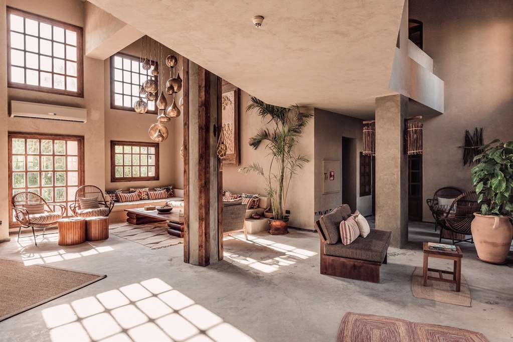 cooks club el gouna adults only