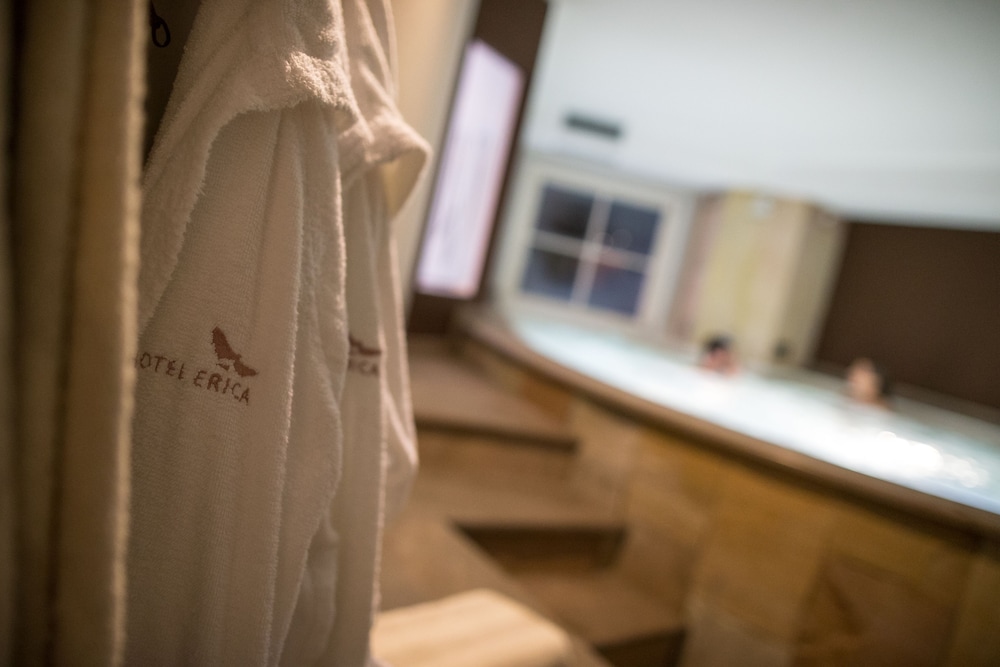 hotel erica