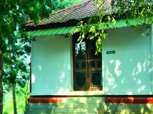 punarjani ayurvedic resorts