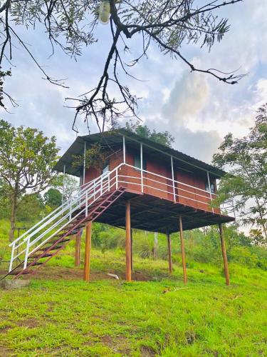 punarjani ayurvedic resorts