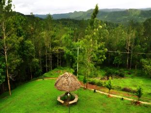 punarjani ayurvedic resorts