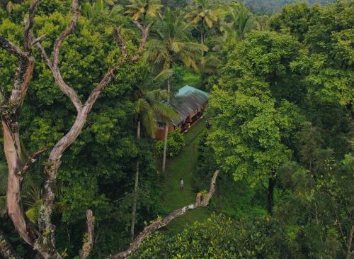 punarjani ayurvedic resorts