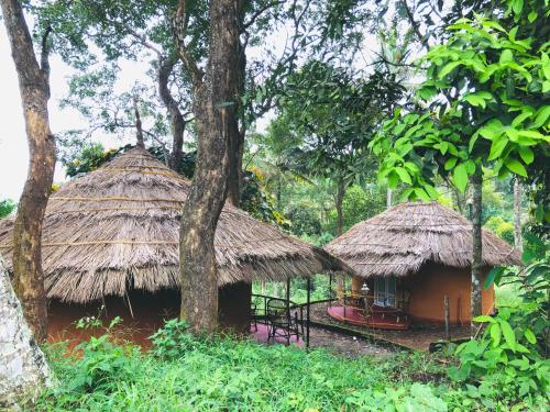 punarjani ayurvedic resorts