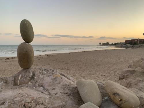 ventura