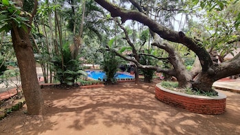 outpost at alibaug
