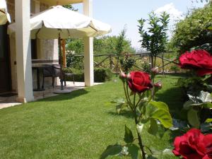 olympia guesthouse