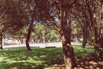 viana do castelo