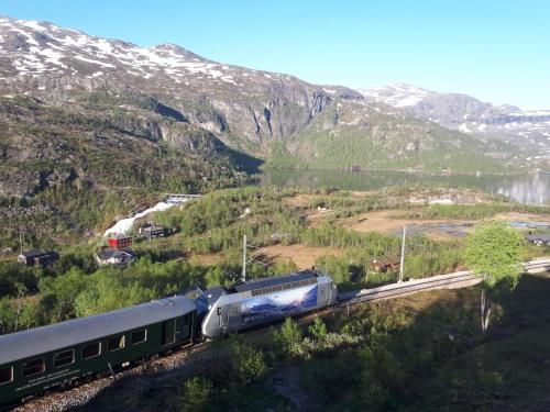 aurland