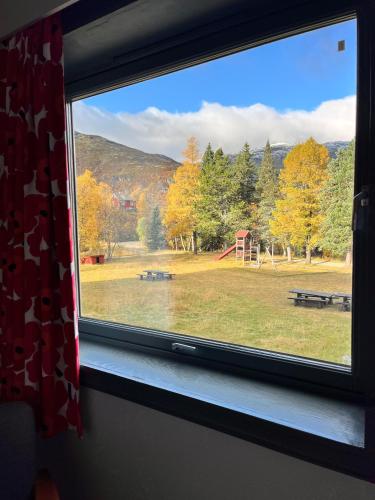 aurland