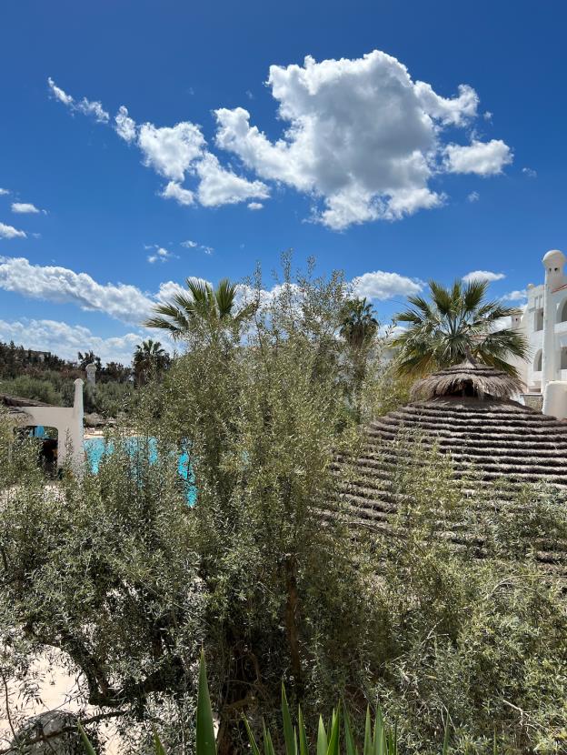 hammamet garden resort and spa