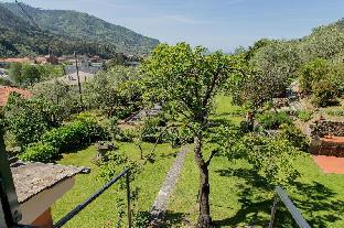 levanto
