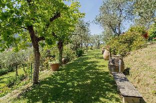 levanto