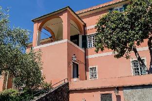 levanto