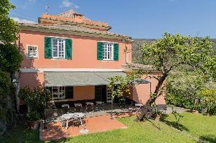 levanto