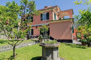 levanto