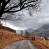 cockermouth