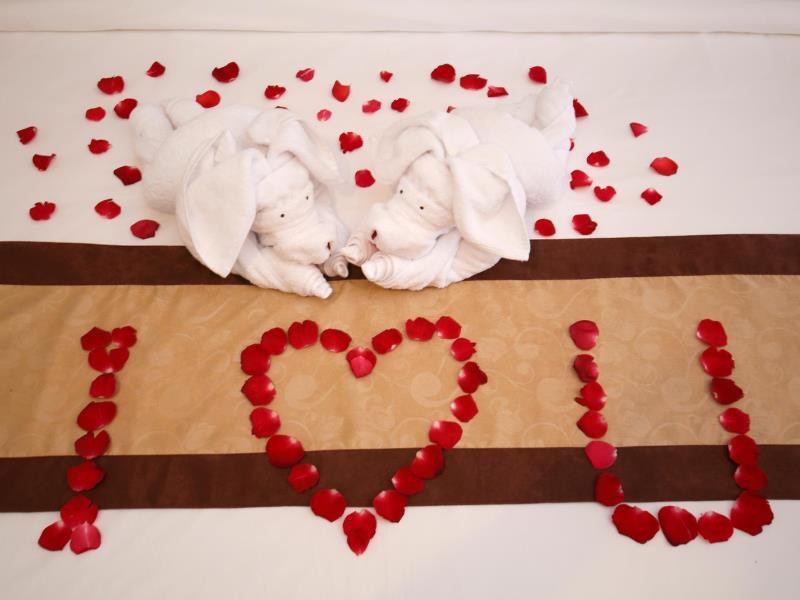 the visala boutique hotel