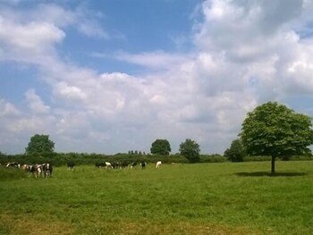 chippenham