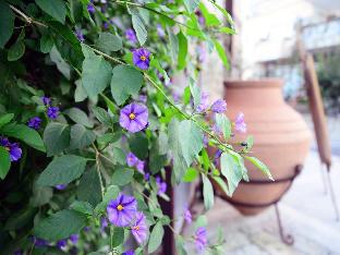 imren han hotel special class