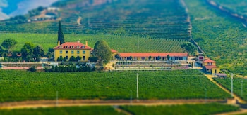 City-Image