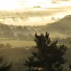 malvern