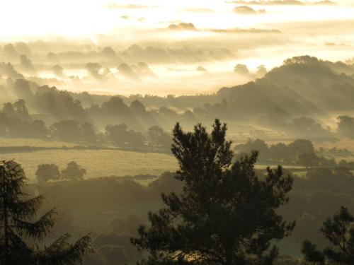 malvern