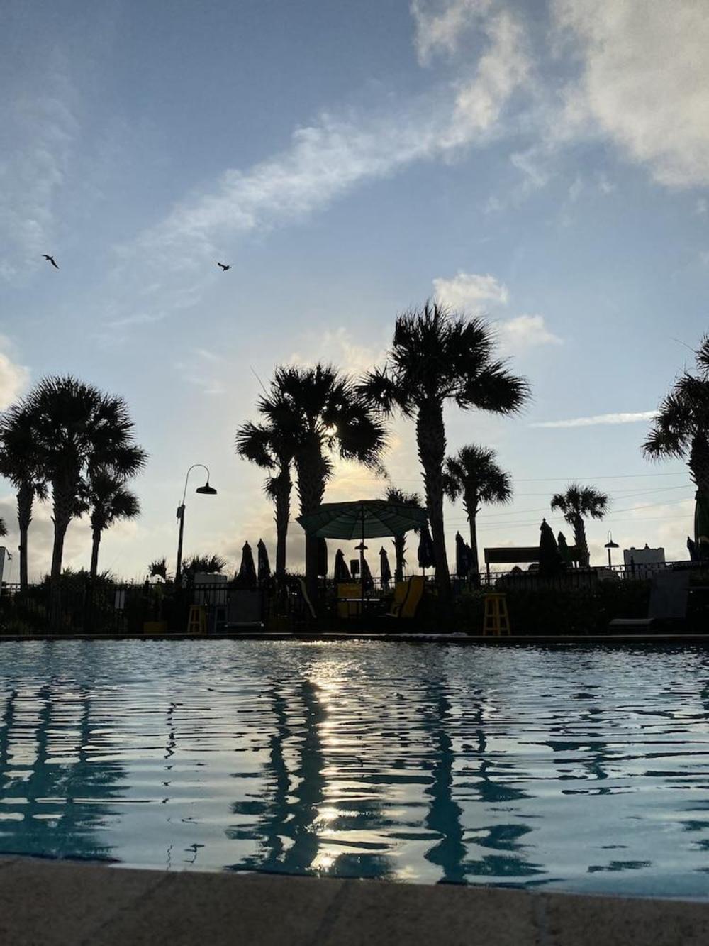 seahorse oceanfront inn