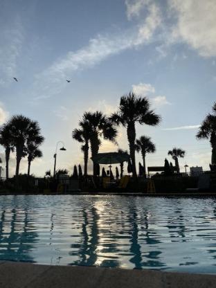 seahorse oceanfront inn