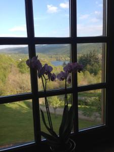 Highland Bear Lodge & Luxury Bear Huts,Bearnock>>Balnain,4 star