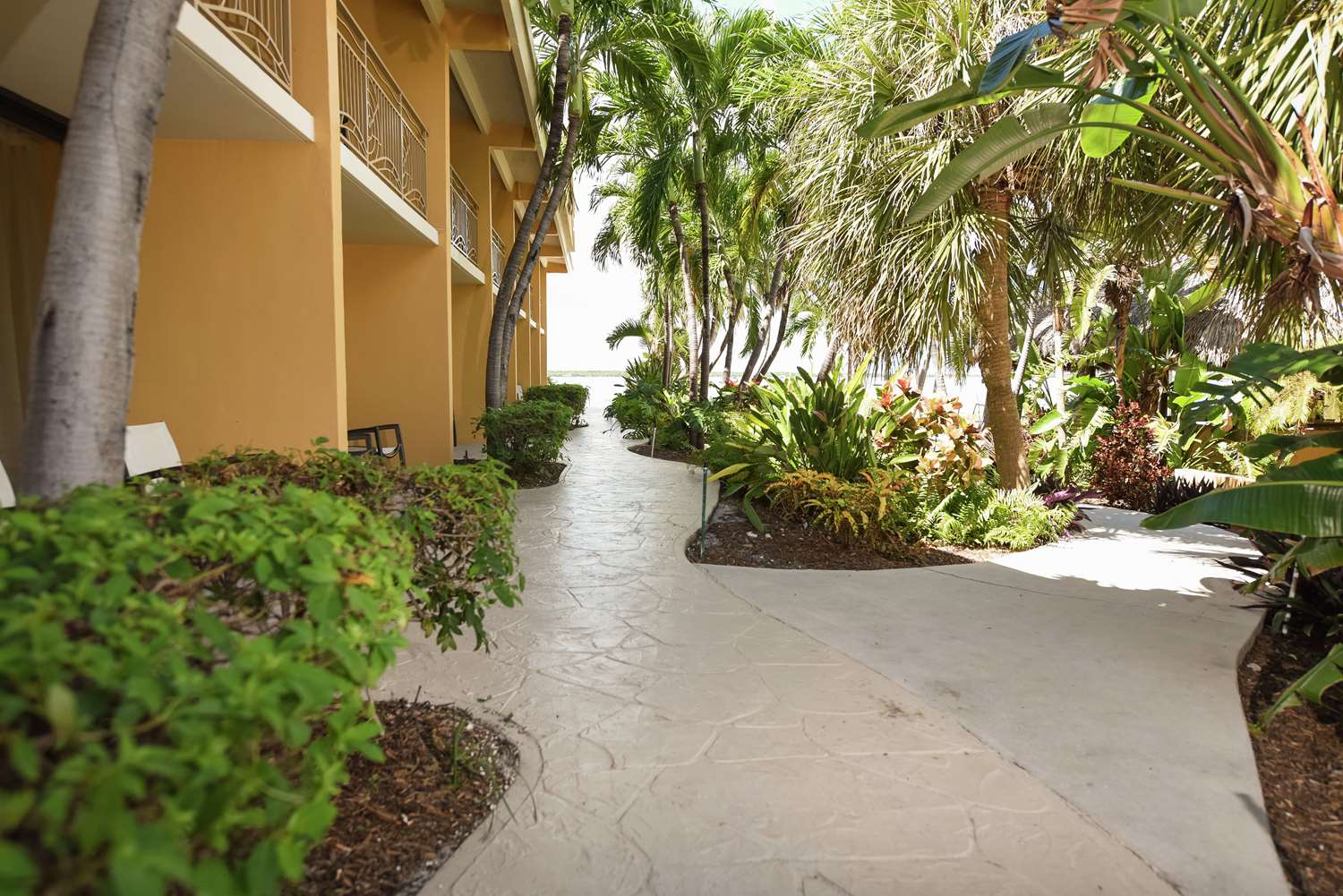 hampton inn key largo manatee bay