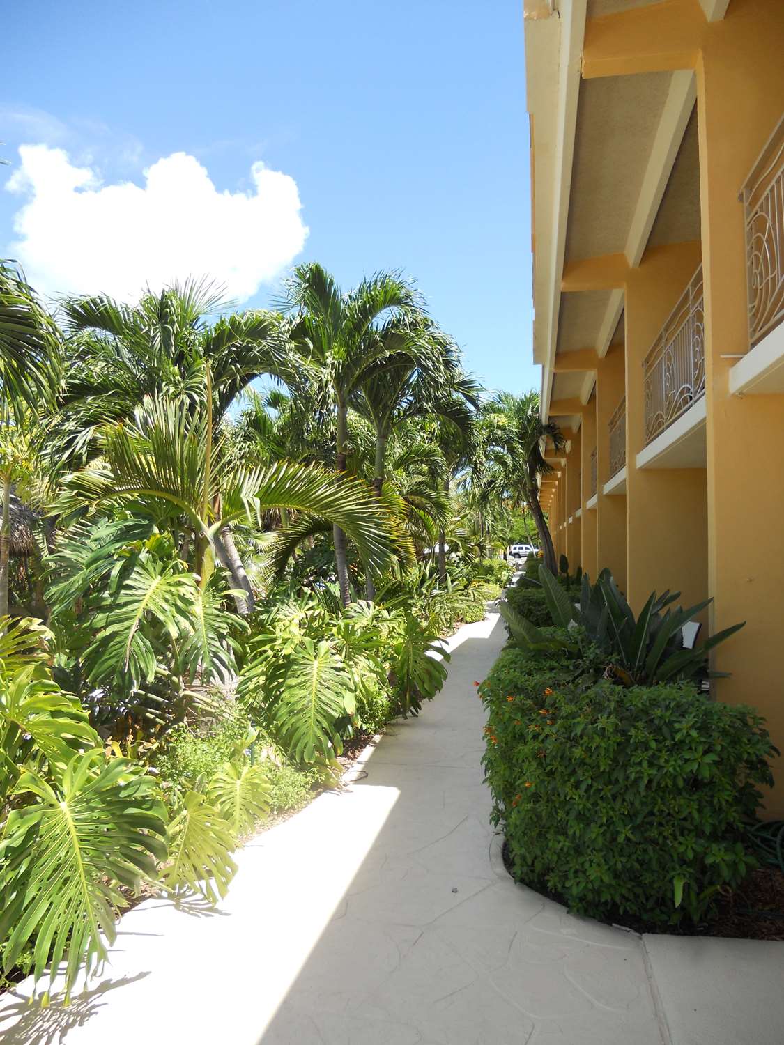 hampton inn key largo manatee bay