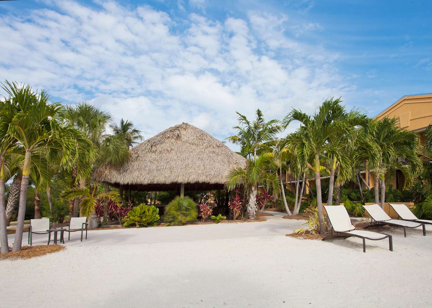 hampton inn key largo manatee bay