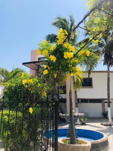 hotel marina topolobampo