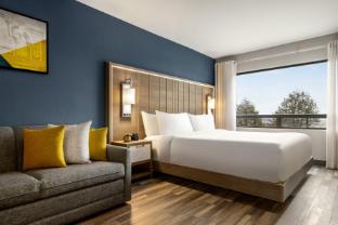 crowne plaza saint john harbour view by ihg