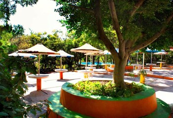 tlaltizapan