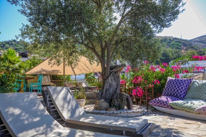 aegean gate hotel adults only