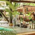 isla holbox