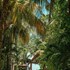 isla holbox