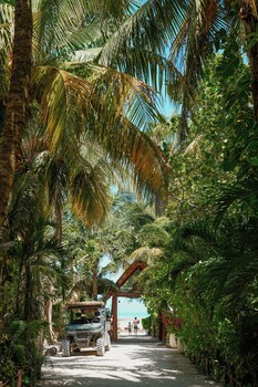 isla holbox