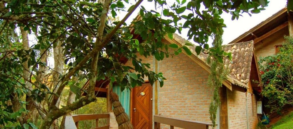 passaro de fogo