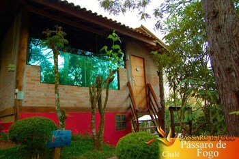 passaro de fogo