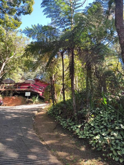 santo antonio do pinhal