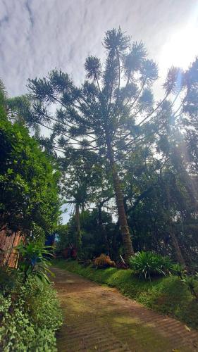 santo antonio do pinhal