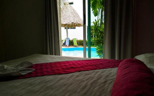 paraiso seyba hotel
