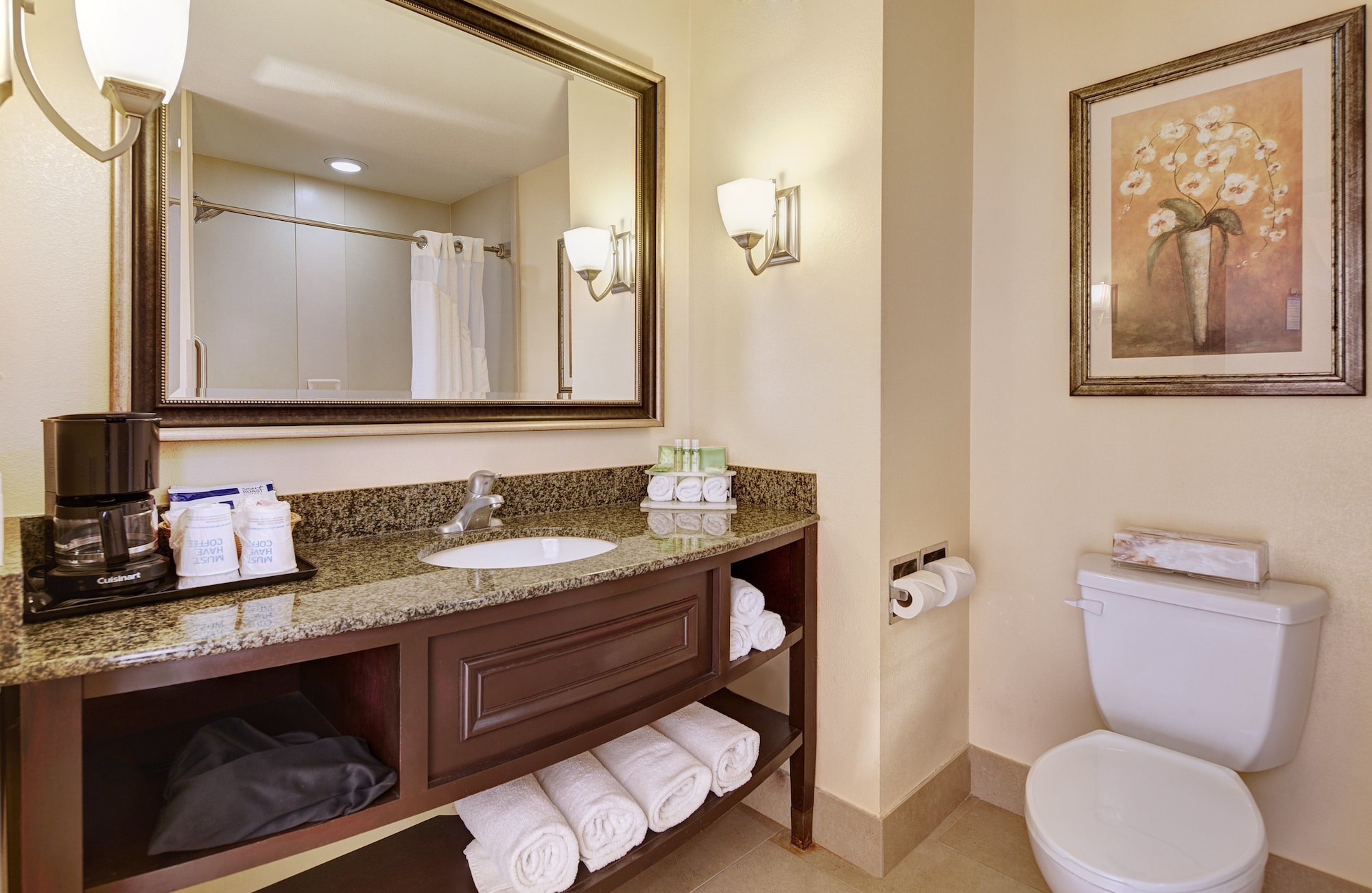 holiday inn express and suites san diego sorrento valley