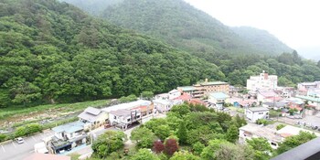 Hotel Ohruri Nasu Shiobara,Near Myounji Temple,3 star