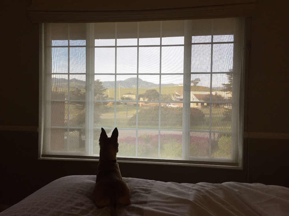 the morgan hotel san simeon