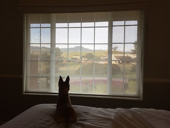 the morgan hotel san simeon