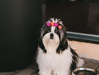 hotel 10 ponta grossa