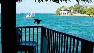 hotel isla del sol